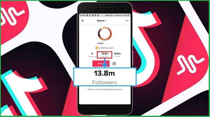 Alternatives to Get 1000 Free TikTok Followers Safely